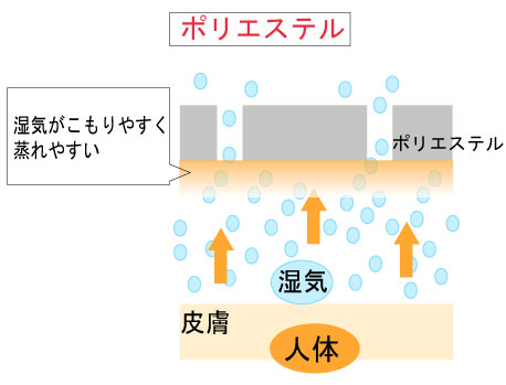 ポリエステル素材の放湿