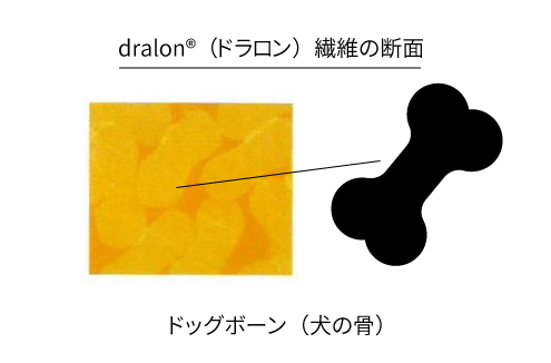 ドラロン繊維の断面図