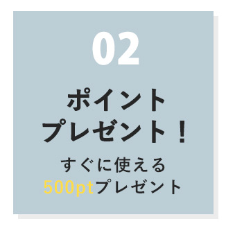 500ポイントプレゼント